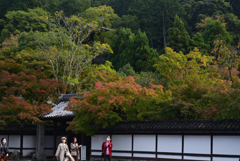 211024e南禅寺26