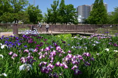 210529a白鷺公園16