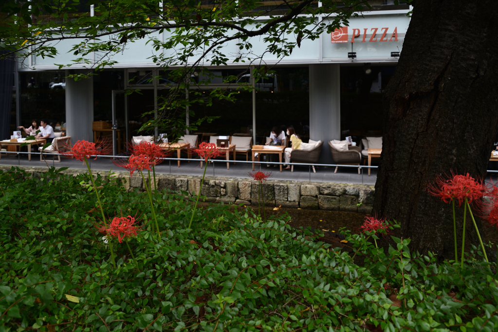 210916b木屋町通06三条上る