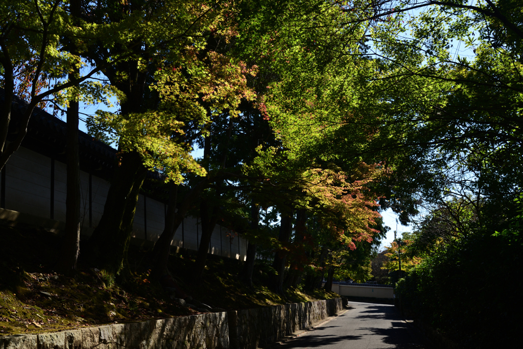 211029a東福寺22