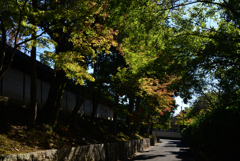 211029a東福寺22