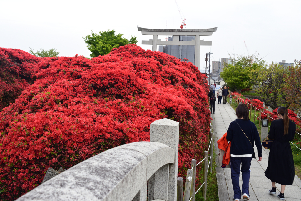 230418a長岡天満宮15