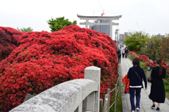 230418a長岡天満宮15