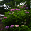 210620長谷寺38