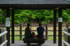250518京都植物園56