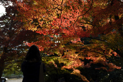 171117毘沙門堂36+