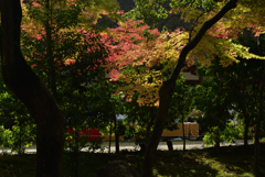 191116a上賀茂神社21