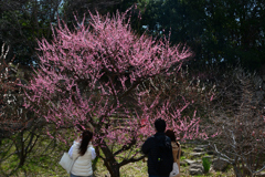 250320a大阪城39