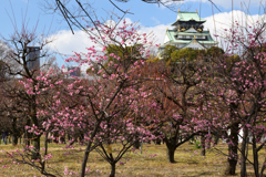 220211大阪城45