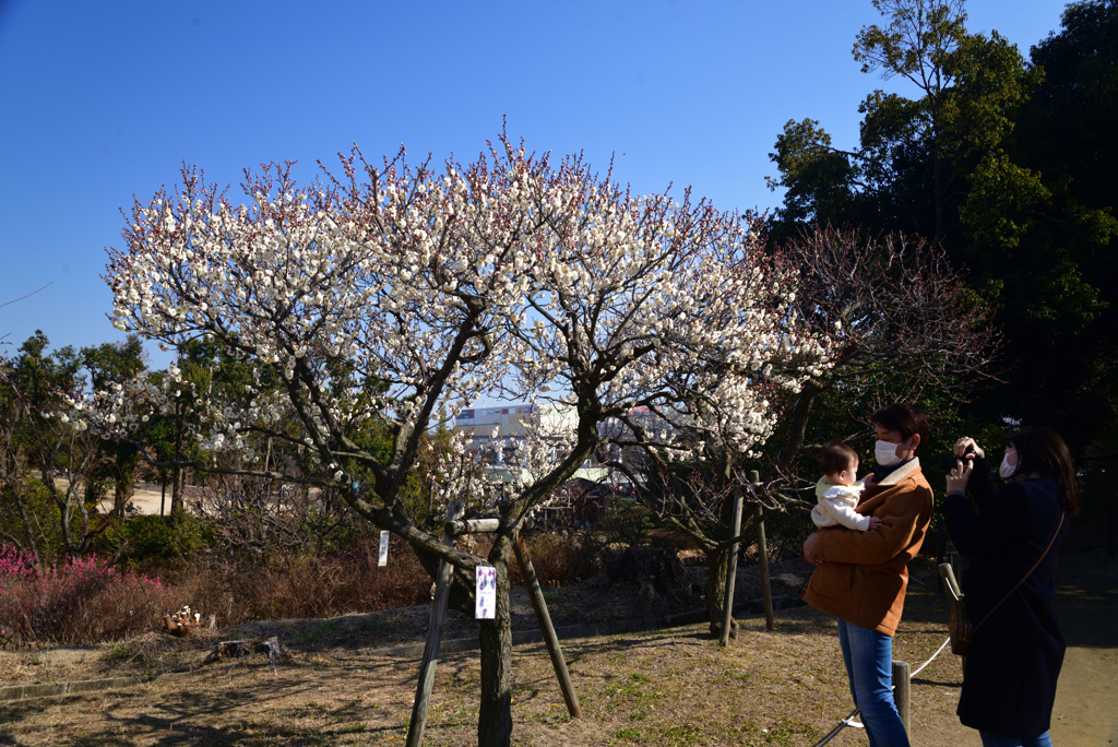 220226万博公園67