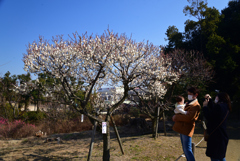 220226万博公園67