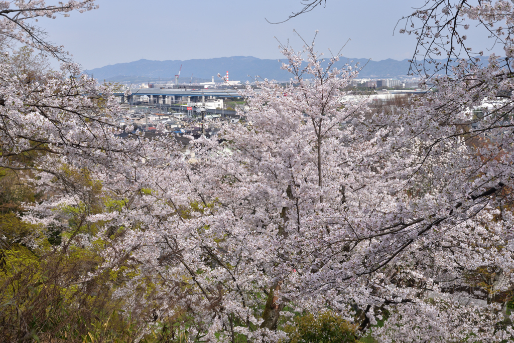 200403d山崎聖天35