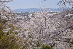 200403d山崎聖天35