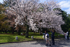 230327a京都御苑21