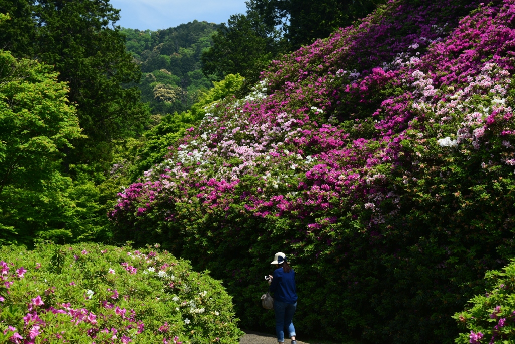 180501三室戸寺42
