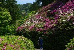 180501三室戸寺42