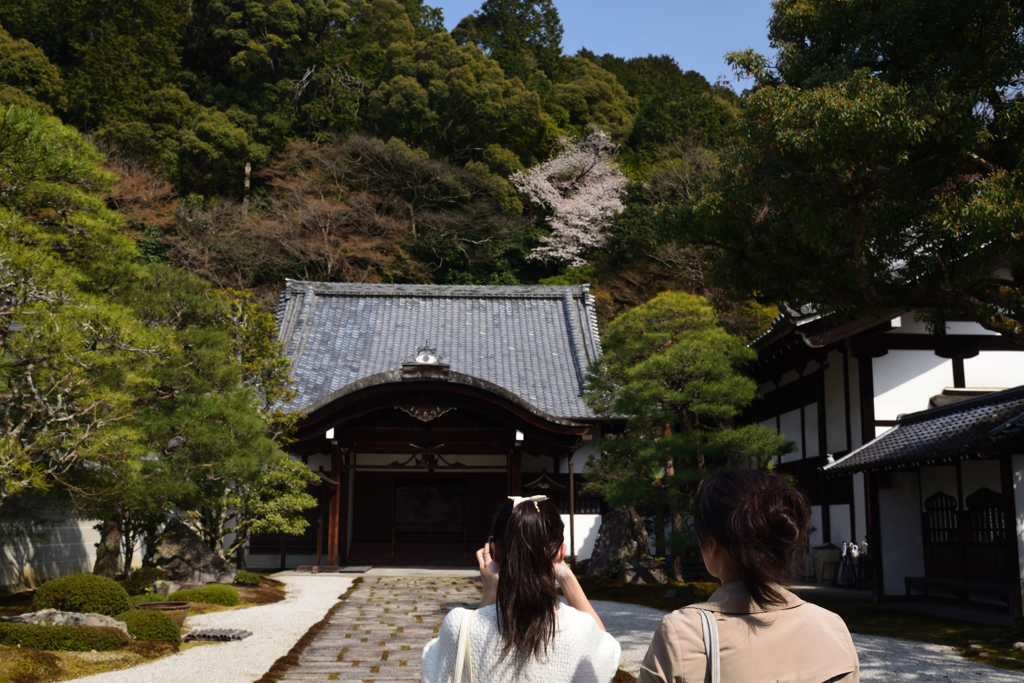 190406d南禅寺24