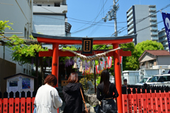 250427のだふじ巡り13