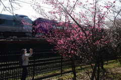 260301d梅小路公園12