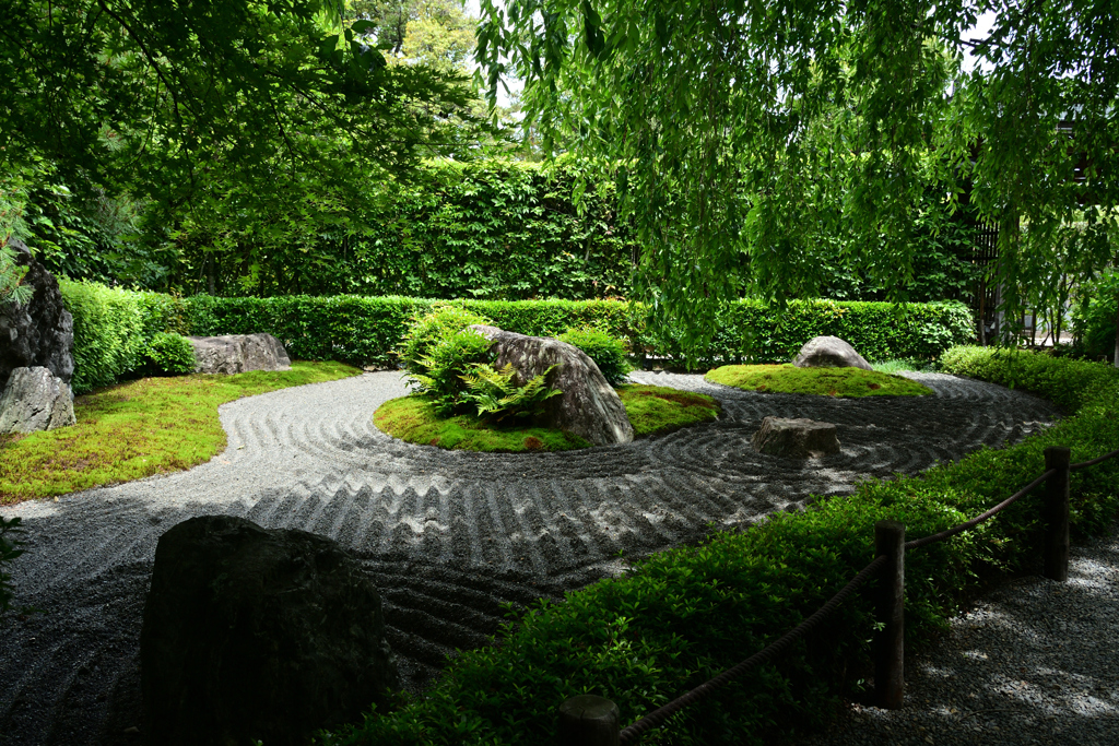 250606妙心寺退蔵院47