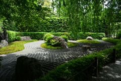 250606妙心寺退蔵院47