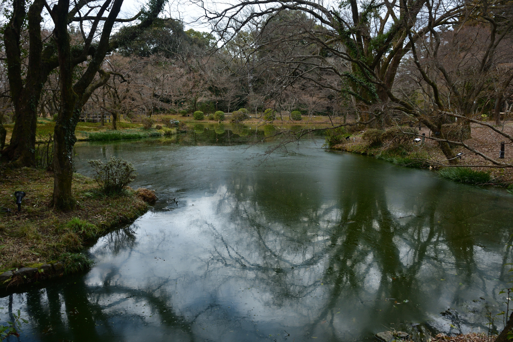 260131a京都植物園30