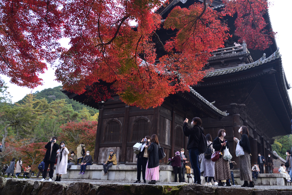 211120d南禅寺19