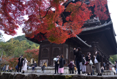 211120d南禅寺19