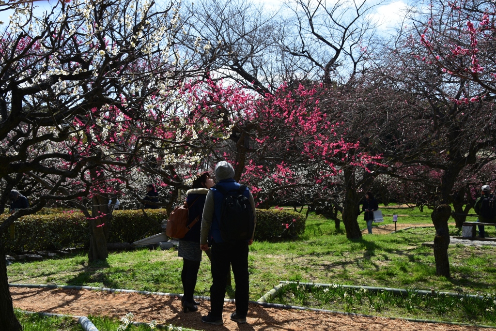 180310万博公園36