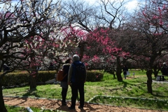 180310万博公園36