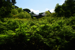 200719b東福寺14