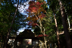 201205a法然院30