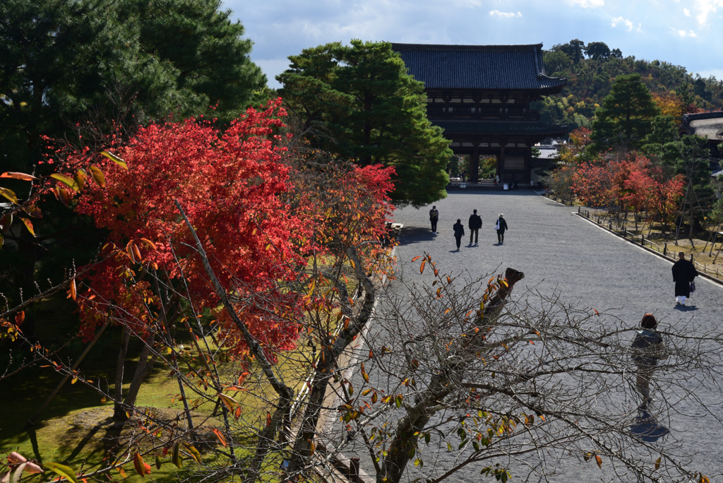 211111a仁和寺37