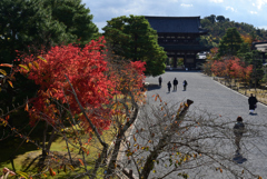 211111a仁和寺37