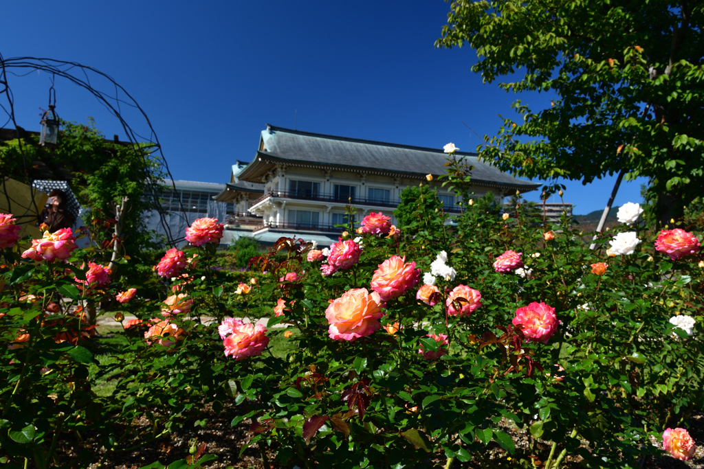2501023びわ湖大津館27
