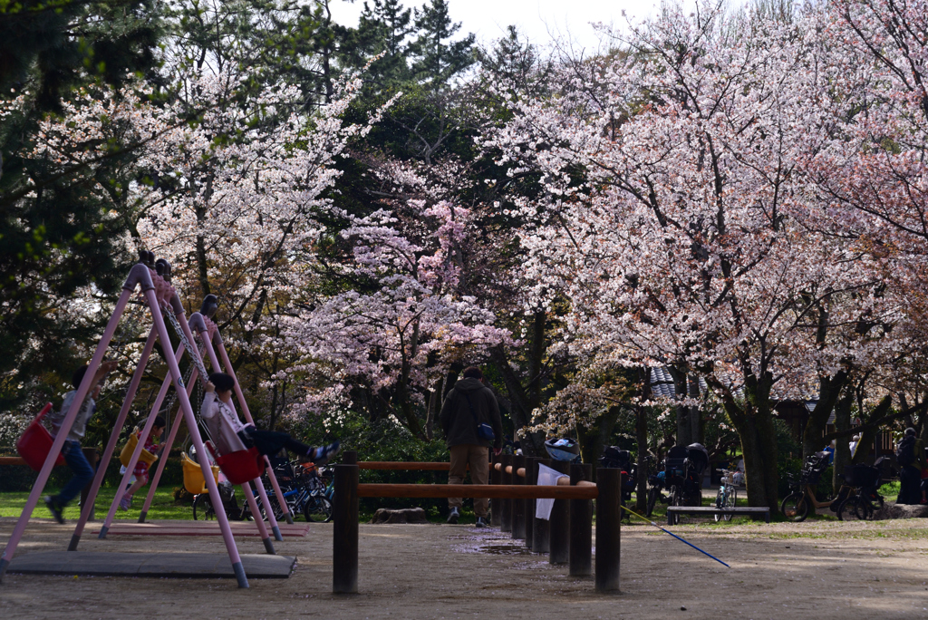 230327a京都御苑60