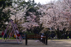 230327a京都御苑60