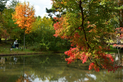 251114a京都植物園39