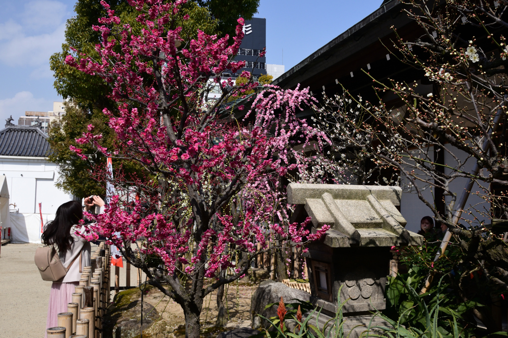 220305b大阪天満宮05