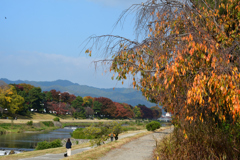 251114a京都植物園01