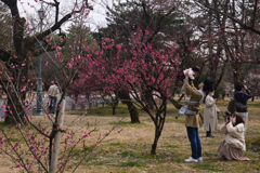 220312b京都御苑25