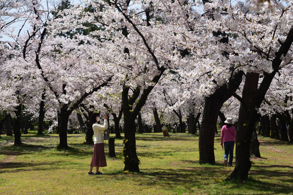 210401a浜寺公園15