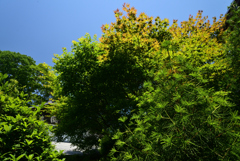220529c安楽寺29