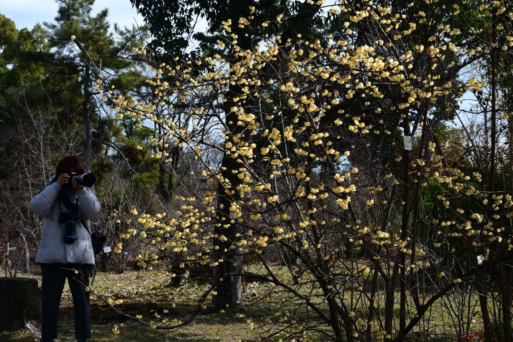 240217a京都植物園38