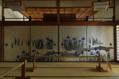 250916妙蓮寺27