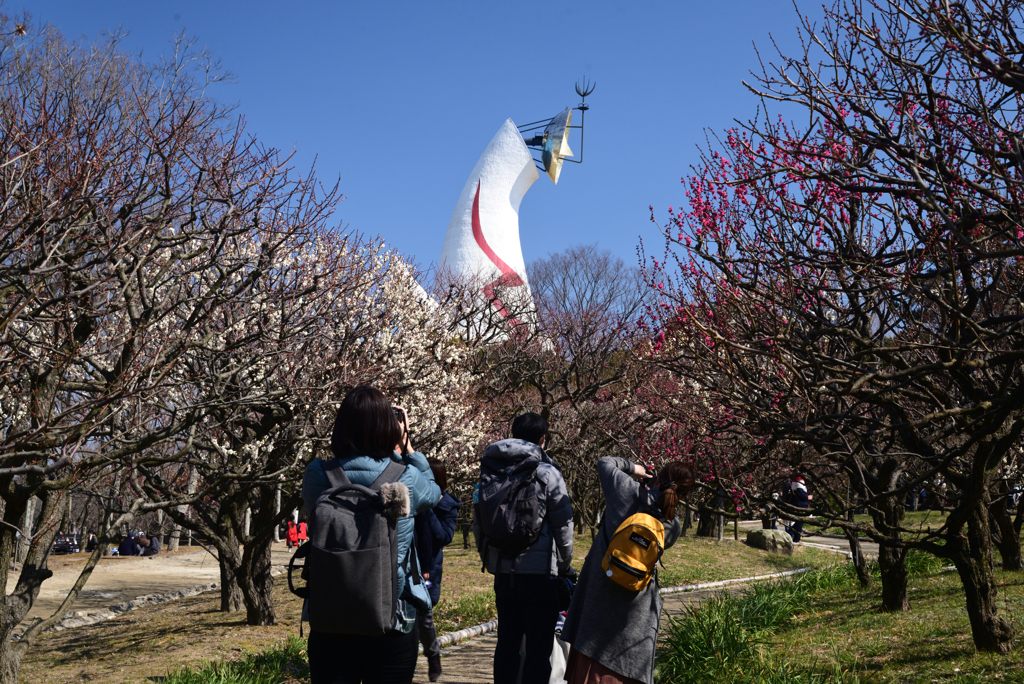 220226万博公園32