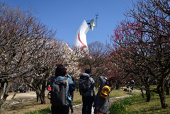 220226万博公園32