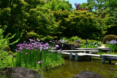 250605b大仙公園13
