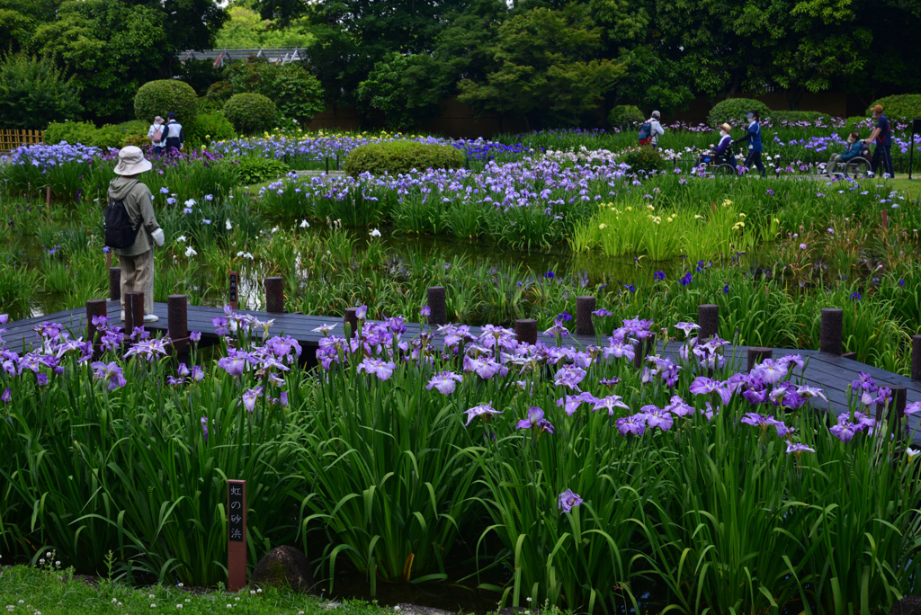 240603b城北公園43
