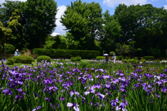 240603b城北公園04